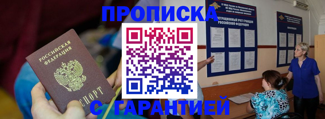 прописка 2025 в Звенигово